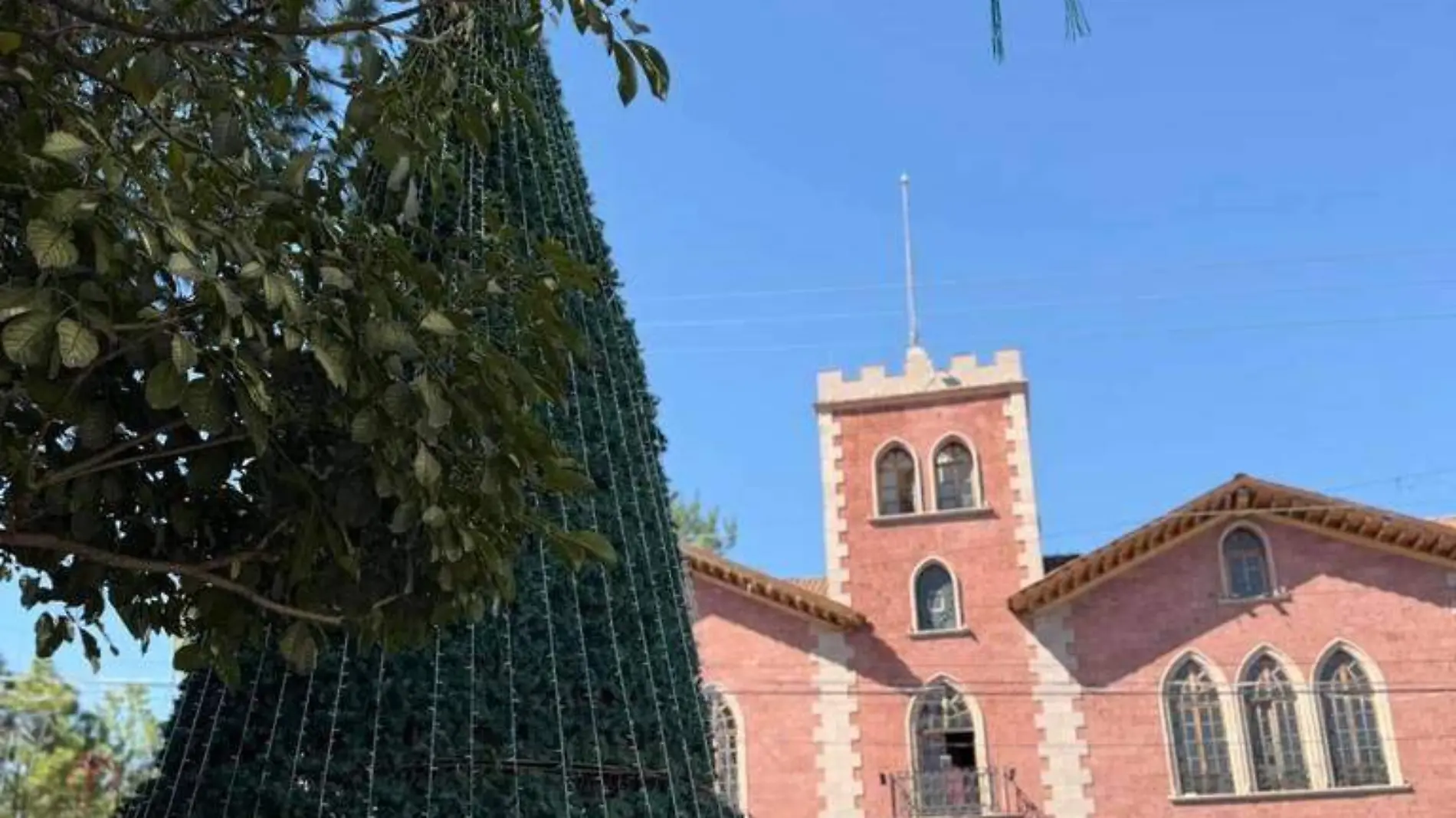 Árbol navideño Jacona